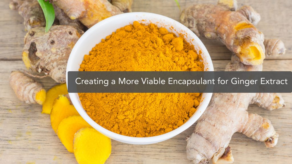 Effective Encapsulant for Red Ginger Extract Powder Using Mixture of