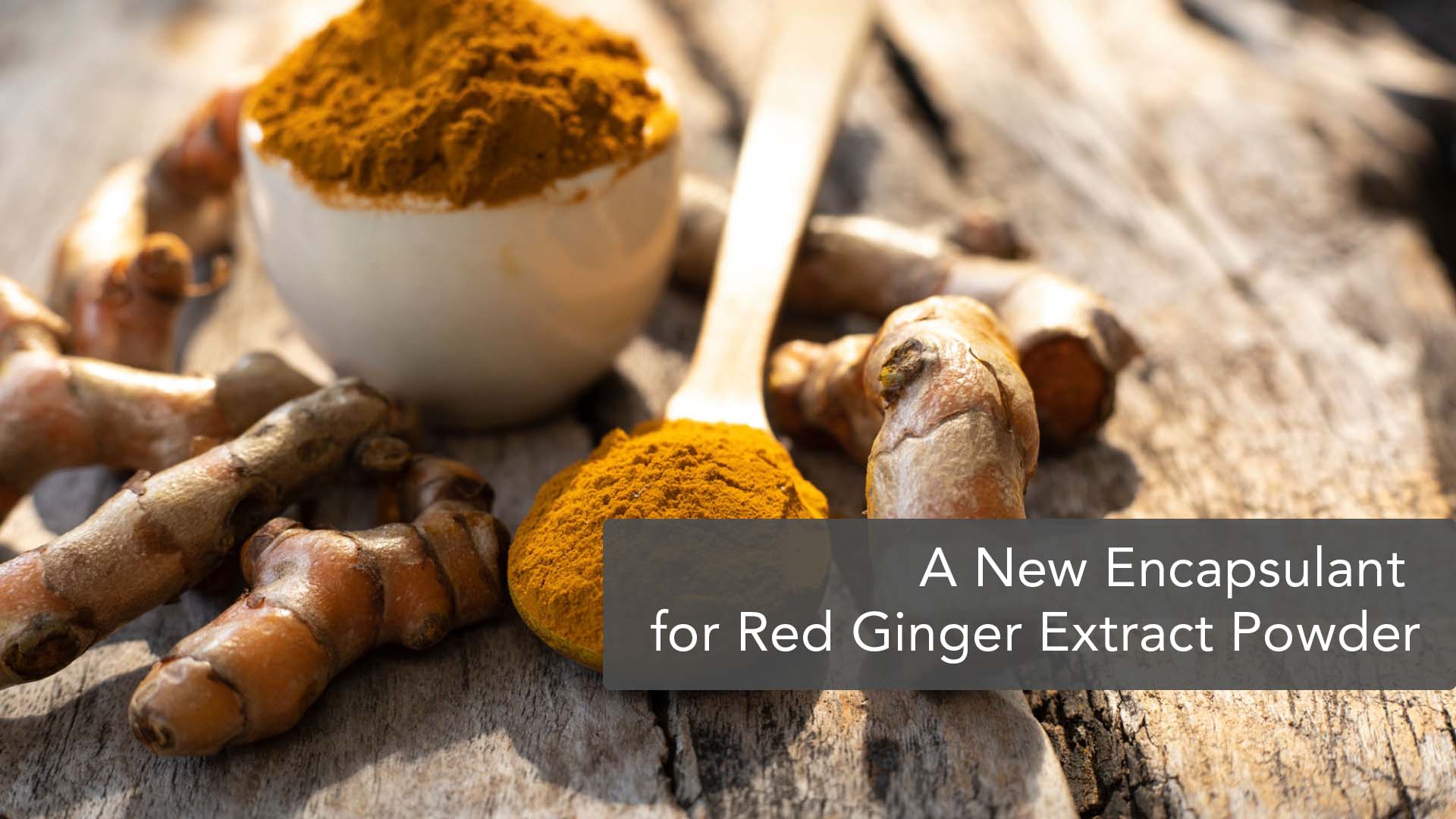 Effective Encapsulant for Red Ginger Extract Powder Using Mixture of