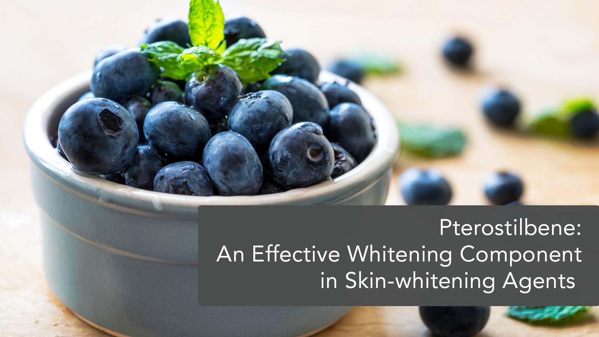 How Do Antioxidant Components in Blueberries Conduct Whitening Activities in Skin Cells and