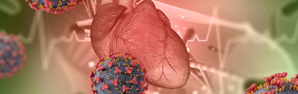 Medicinal Plant tRNAs: From Hidden Sequences to Patented RNA Drugs for Cancer and Heart Disease