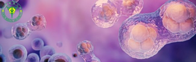 A Precision Peptide Improves Stem Cell Targeting and Tissue Regeneration