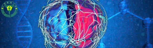 Dual-Gene Delivery Strategy Shows Promise Against Aggressive Brain Cancer