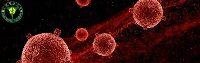 Blocking a Tumor’s Protective Signal Strengthens Immune Defense