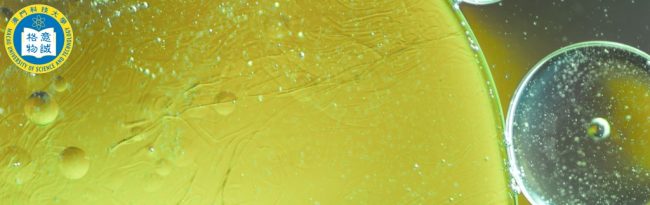 Decoding Diversified Plant Polysaccharides for Health Support and Advanced Applications