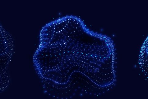 Hybrid Neural Networks in Fruit Flies Reveal How the Brain Balances Flexibility and Precision