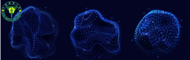 Hybrid Neural Networks in Fruit Flies Reveal How the Brain Balances Flexibility and Precision