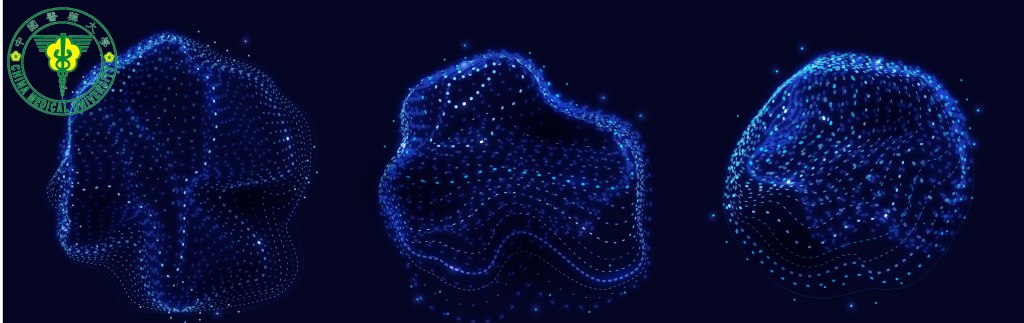 Hybrid Neural Networks in Fruit Flies Reveal How the Brain Balances Flexibility and Precision